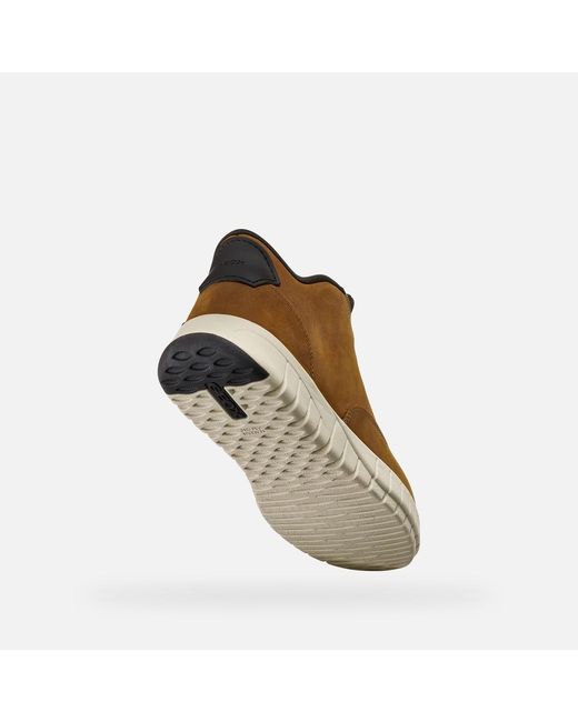 Geox Brown Flextride Plus for men
