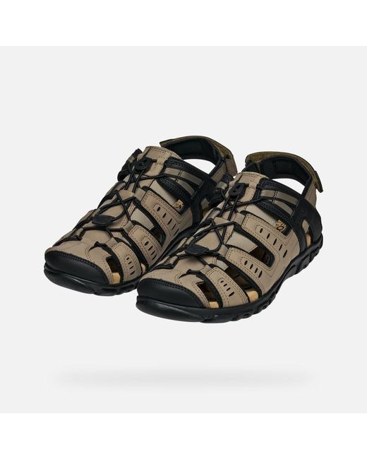 Geox Brown Strada for men