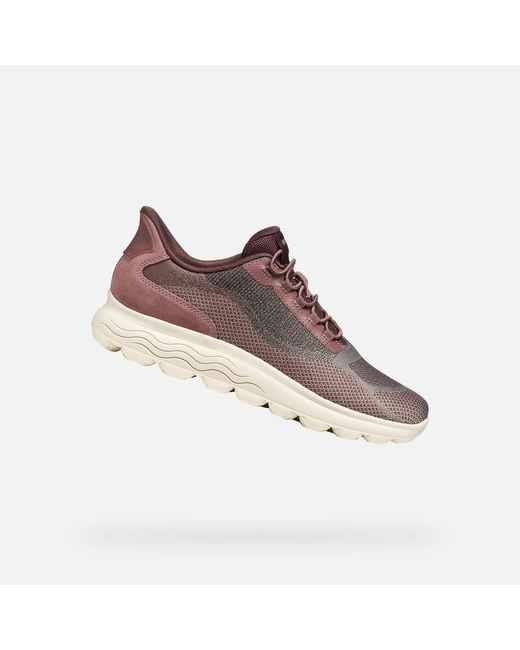 Geox Brown Spherica Plus