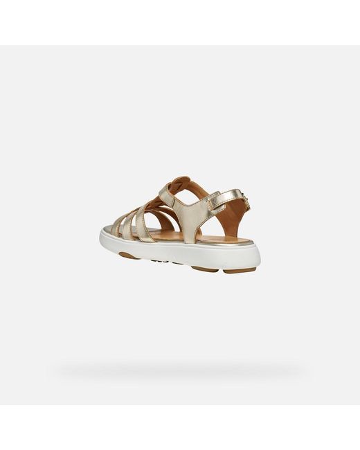 Geox Metallic Nebula 2.0 C S