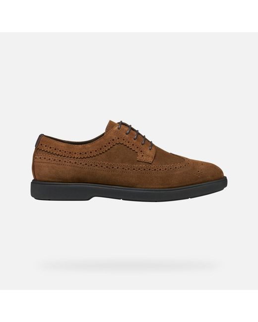 Geox Brown Spherica Ec17 for men