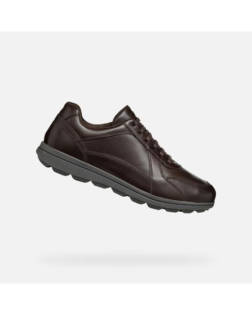 Geox Brown Spherica Ec12 for men
