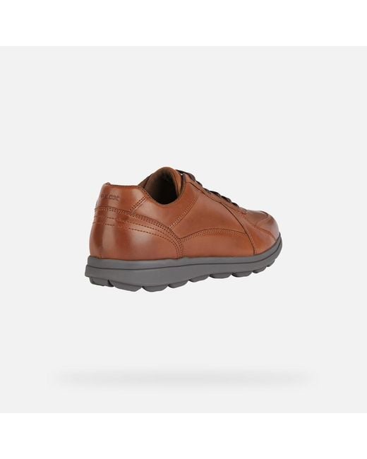 Geox Brown Spherica Ec12 for men