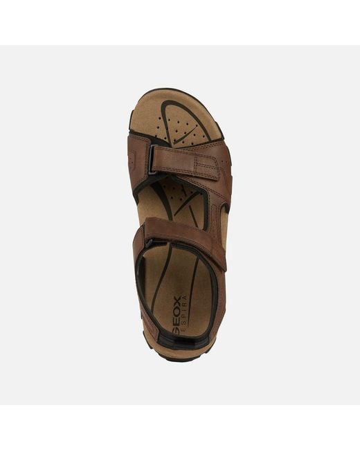 Geox Brown Strada for men