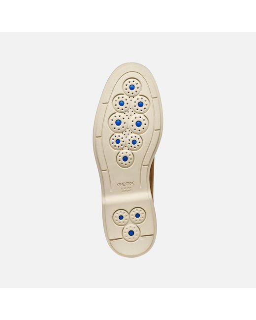 Geox Brown Spherica Ec17 for men