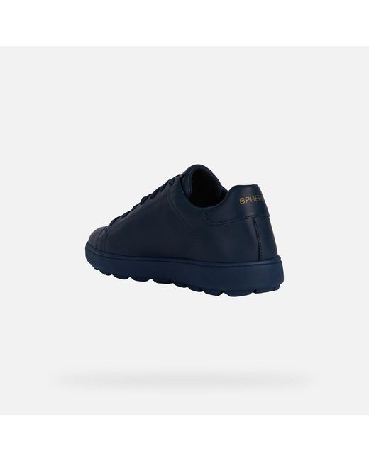 Geox Blue Spherica Ecub-1 for men
