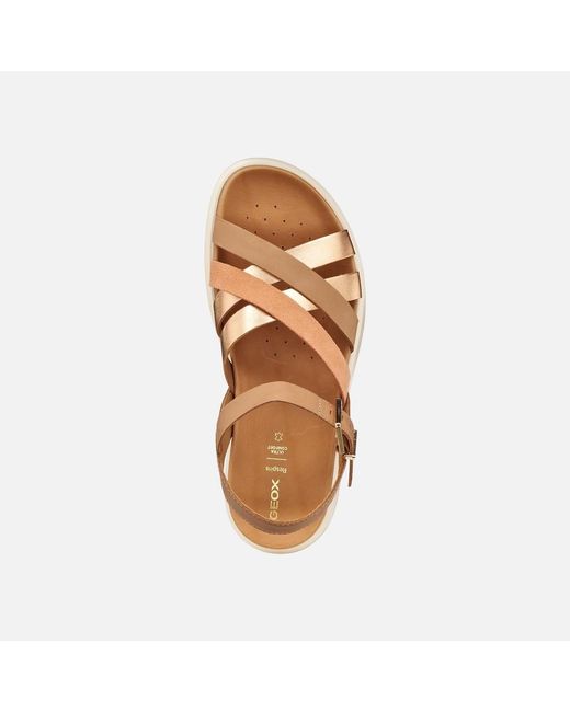 Geox Multicolor Xand 2S