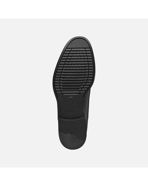 Geox Black Barberigo for men