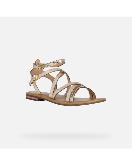 Geox Metallic Sozy S