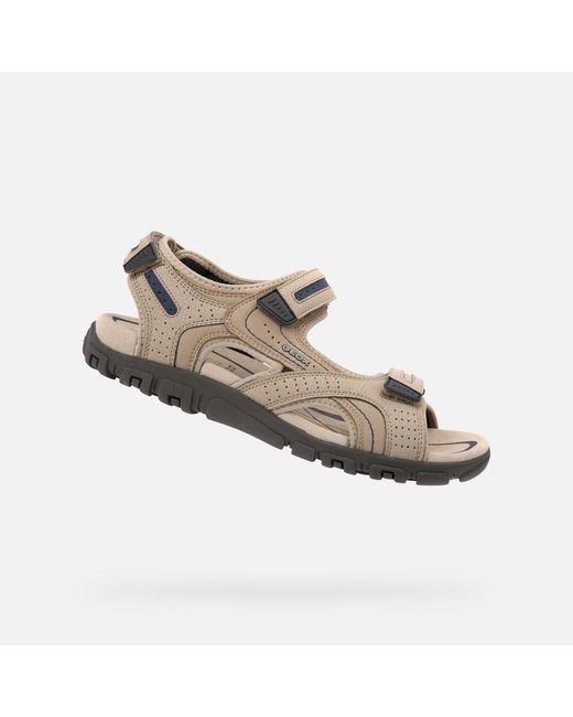 Geox Multicolor Strada for men