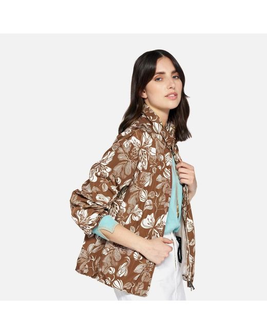 Geox Brown Annya
