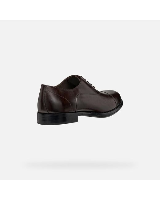 Geox Brown Barberigo for men