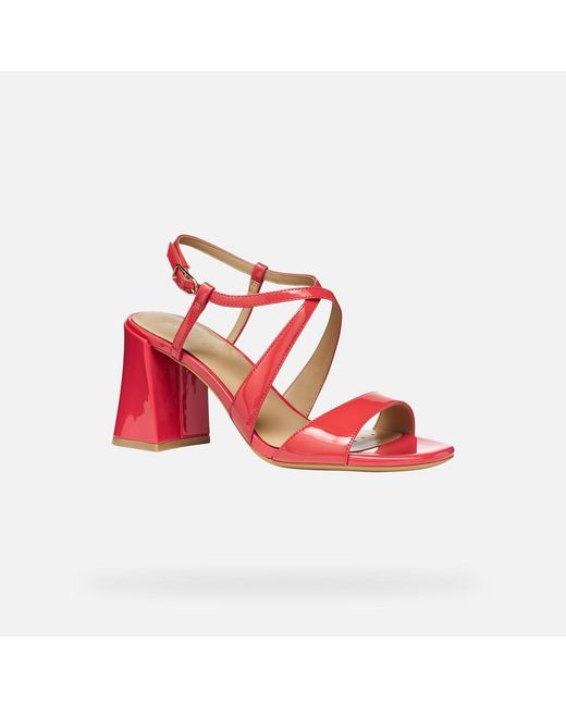 Geox Red New Eraklia 80 T01