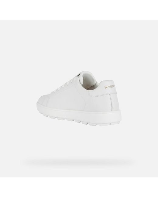 Geox White Spherica Ecub-1 for men