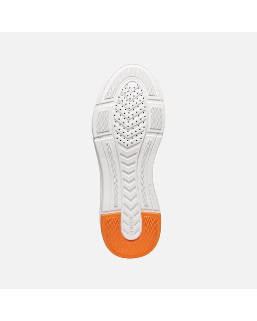 Geox Multicolor Vittour Plus Off/Dark for men
