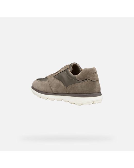 Geox Gray Spherica Ec12 for men