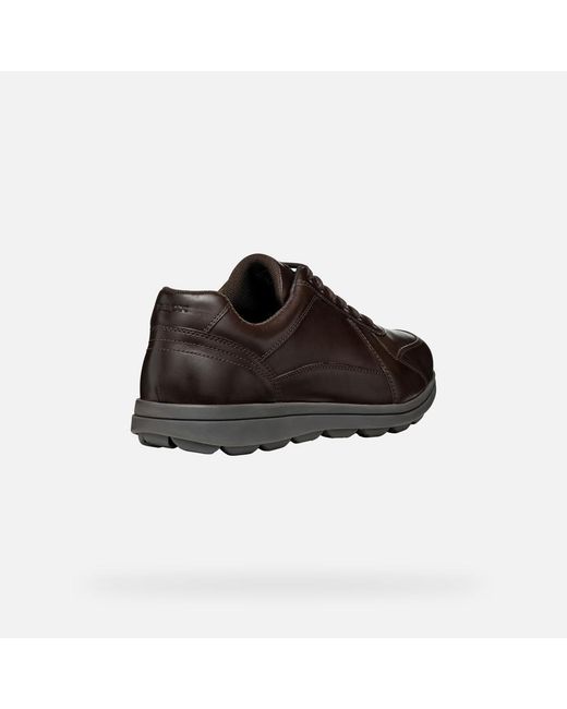 Geox Brown Spherica Ec12 for men
