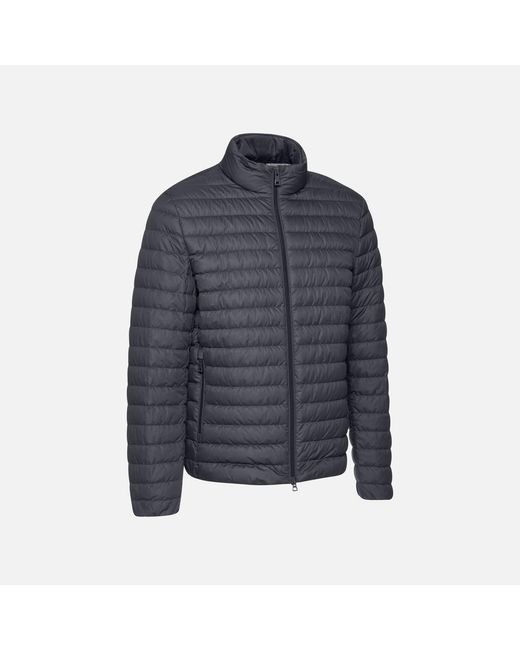 Geox Blue Warrens for men