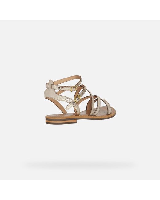 Geox Metallic Sozy S