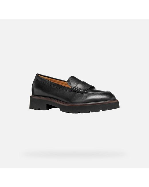 Geox Black Norize