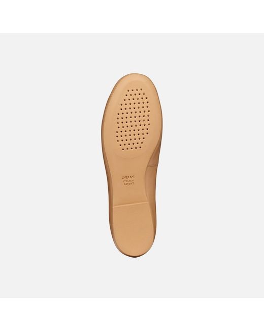 Geox Natural New Palmaria
