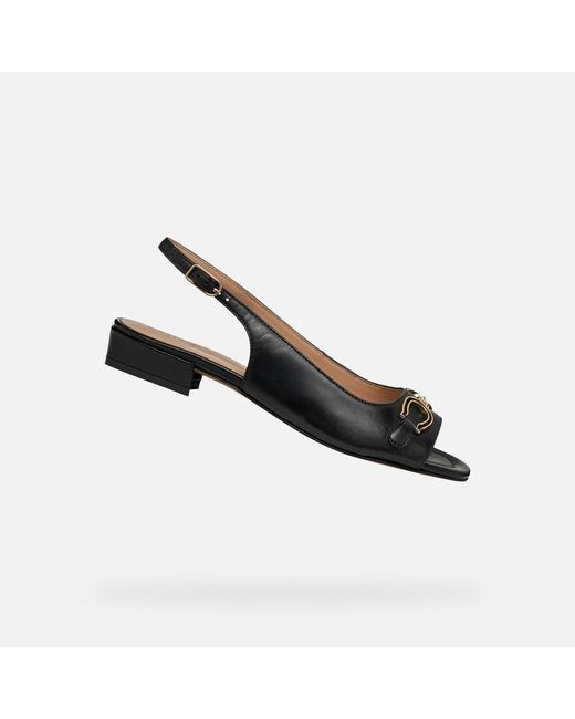 Geox Black New Eraklia 15