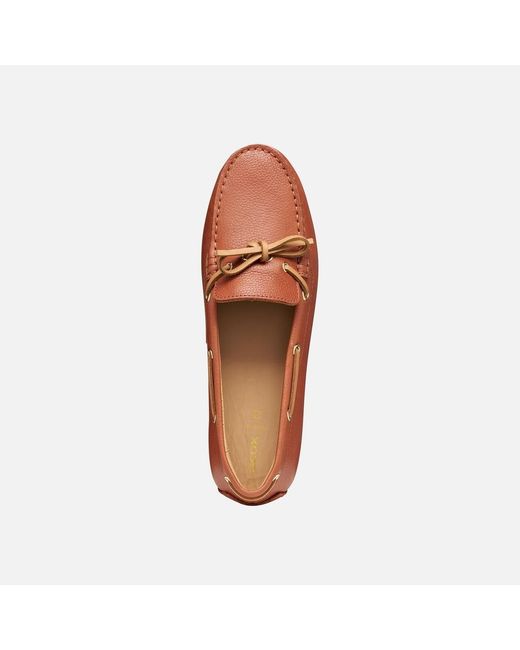 Geox Brown Kalistena