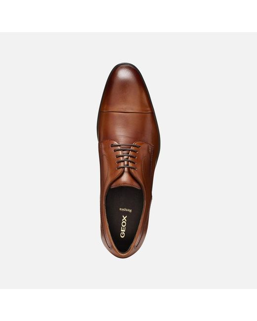 Geox Brown Thalos for men