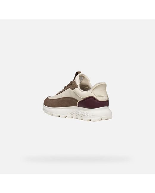 Geox Multicolor Spherica Plus Papyrus/Taupe