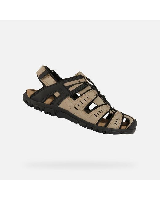 Geox Brown Strada for men