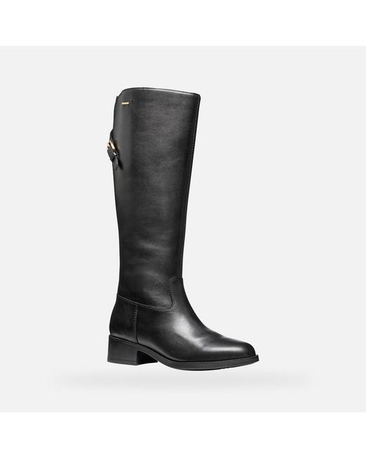Geox Black Camexia Abx