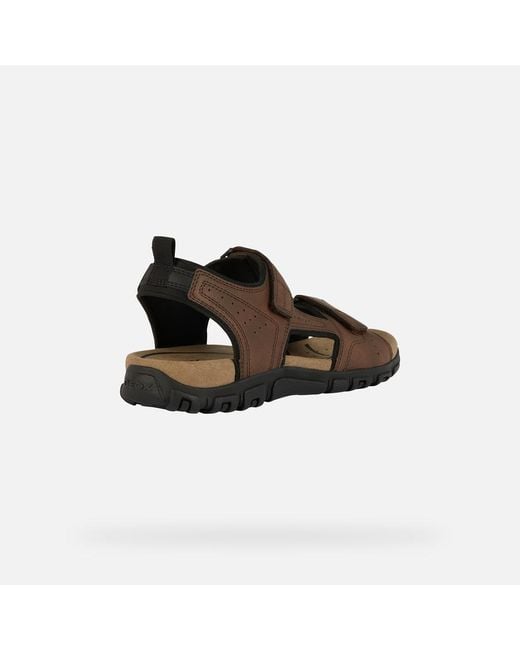 Geox Brown Strada for men