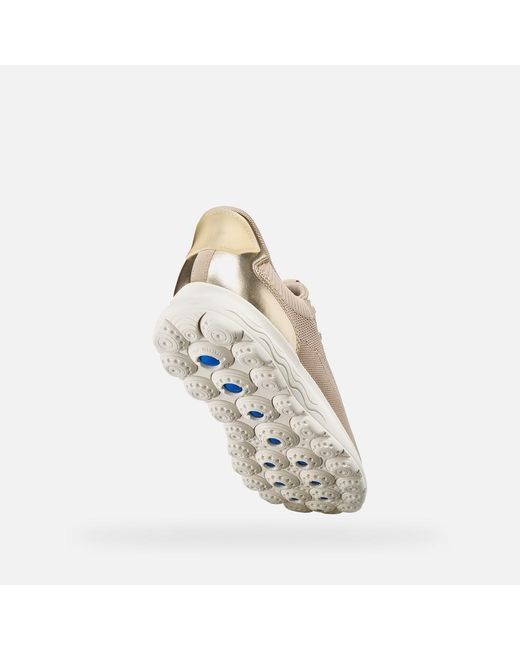 Geox Natural Spherica Plus