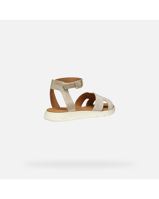 Geox Metallic Dandra