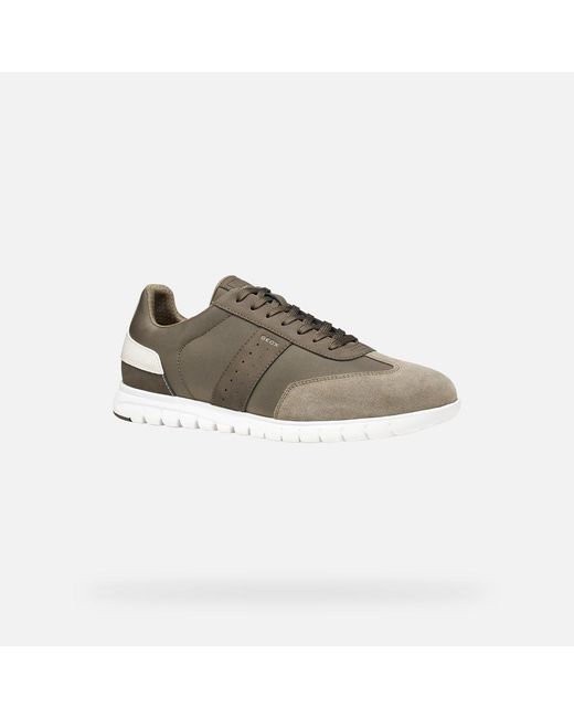Geox Gray Flextride Zero for men