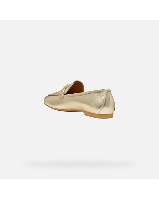 Geox Multicolor New Palmaria