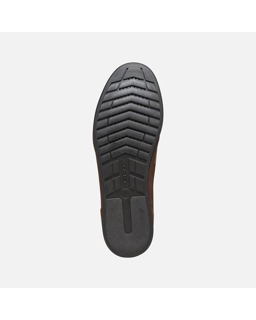 Geox Brown Renan for men