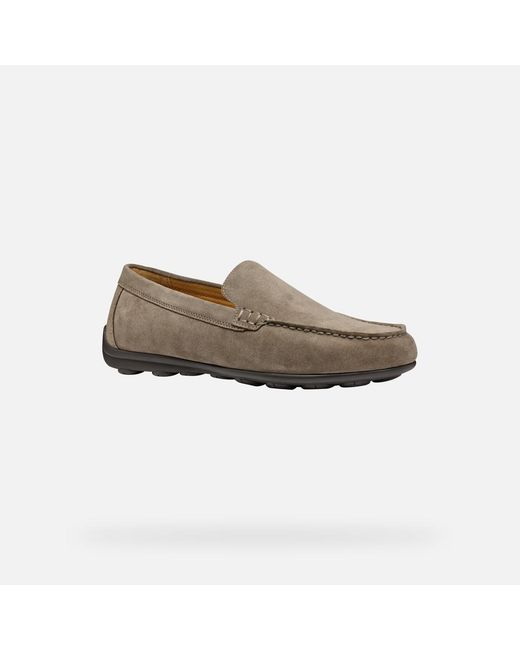 Geox Gray Spherica Ec16 for men
