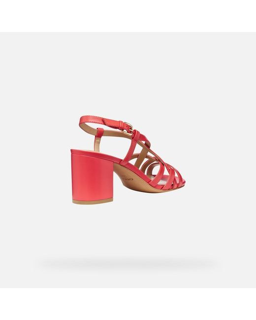 Geox Red Virnilisa 65 S