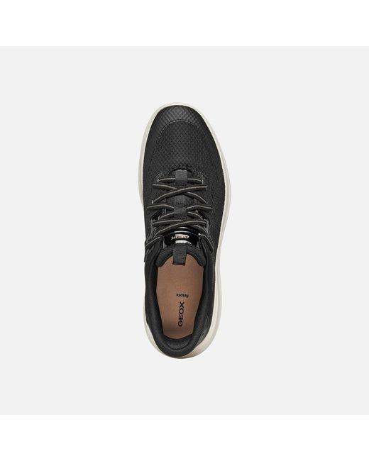 Geox Black Plummery Plus