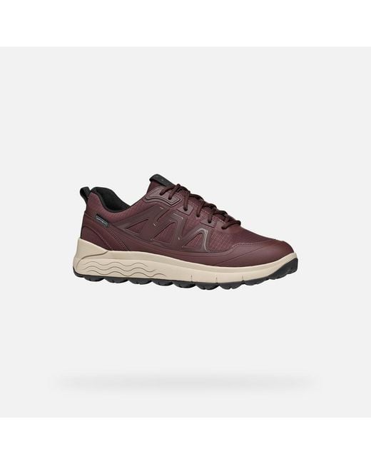 Geox Brown Spherica 4X4 Abx for men