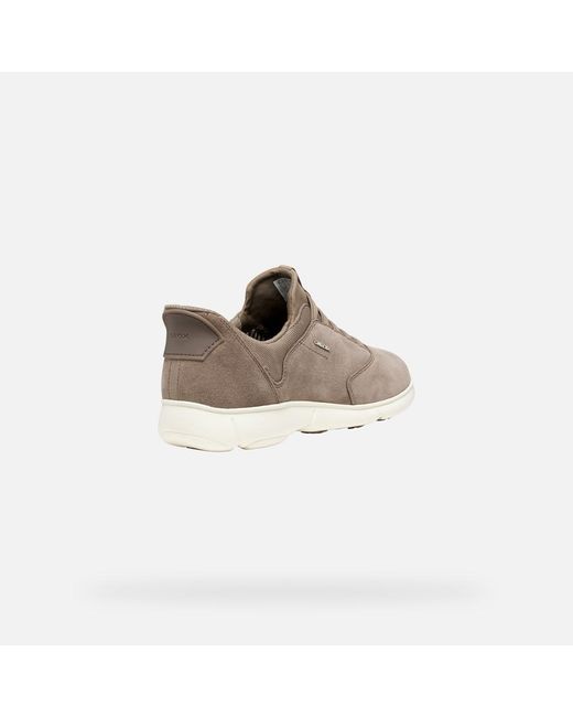 Scarpe Nebula 2.0 Plus Donna di Geox in Gray