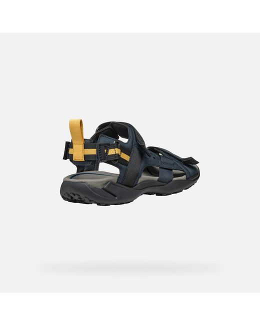 Geox Blue Terreno + Grip for men