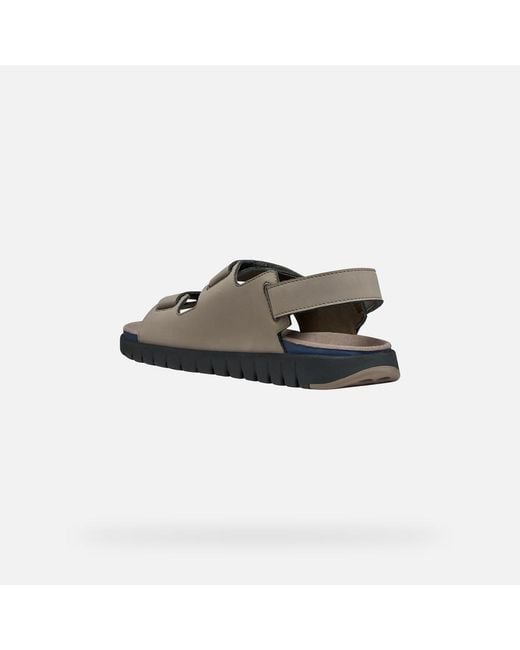 Geox Brown Flextride S for men