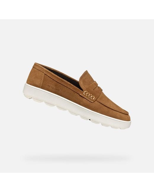 Geox Brown Spherica Ecub-1 for men