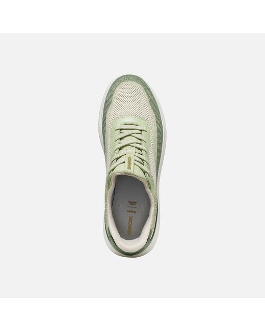 Geox Green Spherica Plus