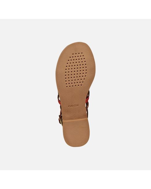 Geox Brown Maddalusia C