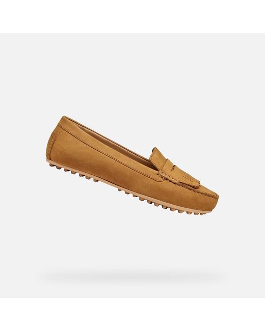 Geox Brown Kalistena