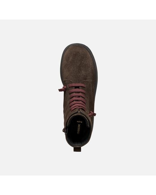 Geox Brown Klargena