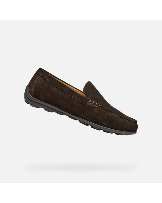 Geox Brown Spherica Ec16 for men